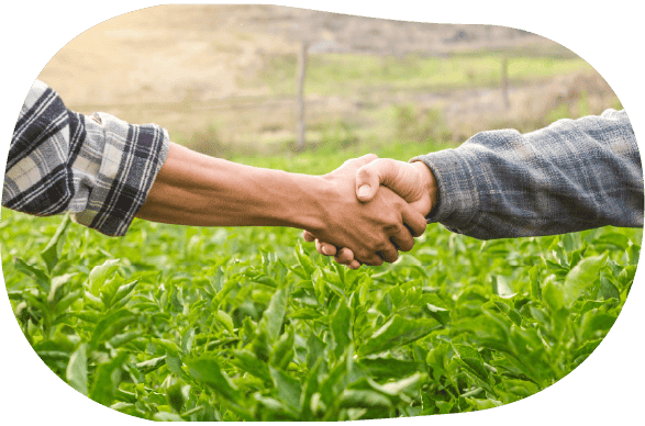 笑顔でパソコンを持つ農家の男性写真